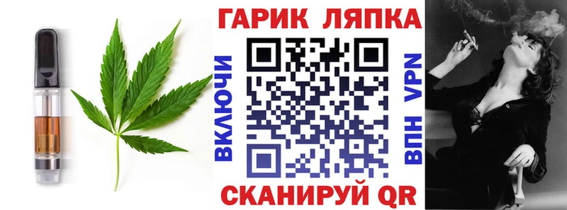 Купить  Салаир  Cannafood конопля 