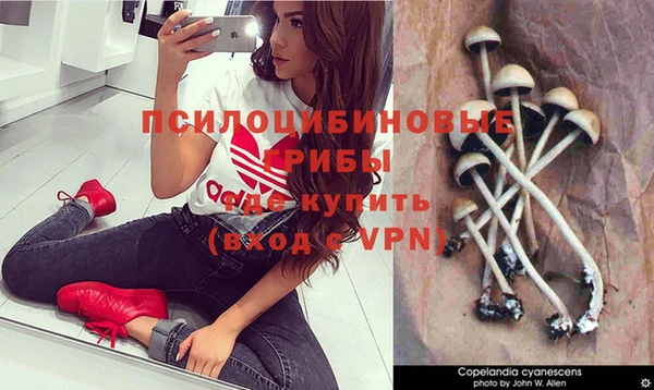 ECSTASY Дмитров