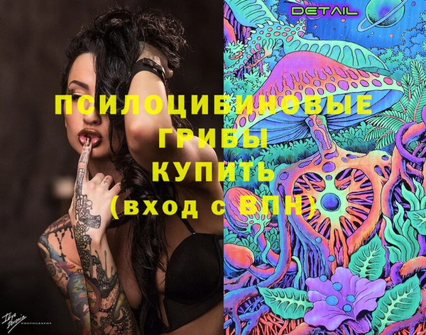 а пвп мука Дмитриев