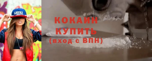 Альфа ПВП Ельня