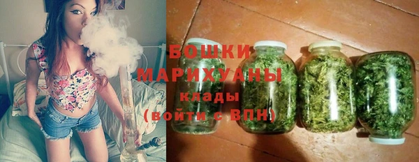 Альфа ПВП Ельня