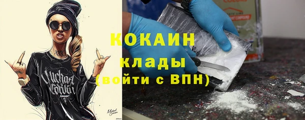 Альфа ПВП Ельня
