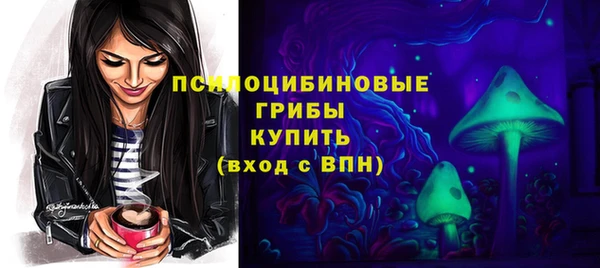 а пвп мука Дмитриев