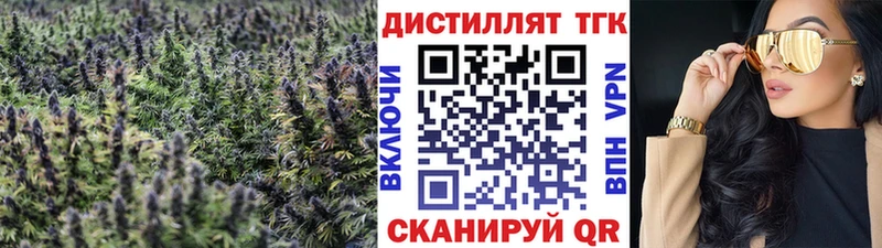 Купить закладки  Салаир  Дистиллят ТГК гашишное масло 